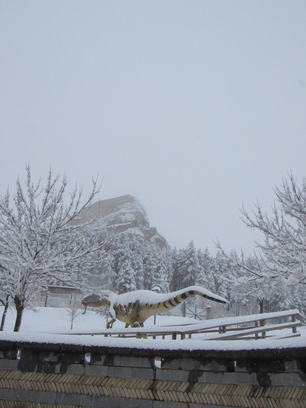 La nieve cubre Morella de blanco