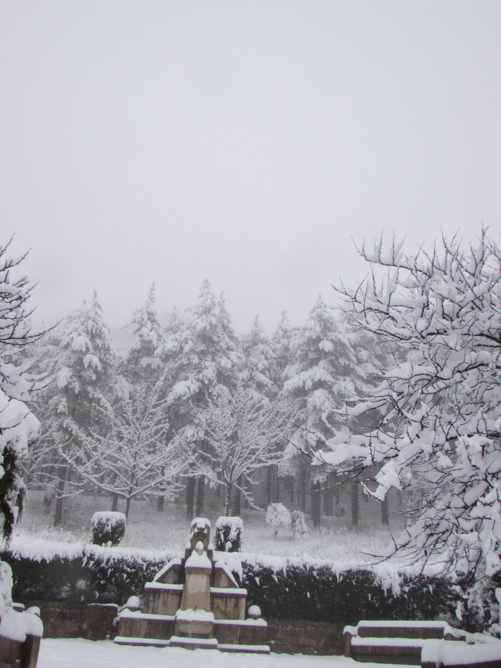 La nieve cubre Morella de blanco