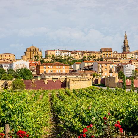 Vivanco,18 euros que valen oro líquido en Rioja Alta