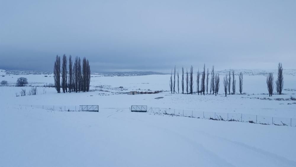 Nieve en las zonas altas de la Región