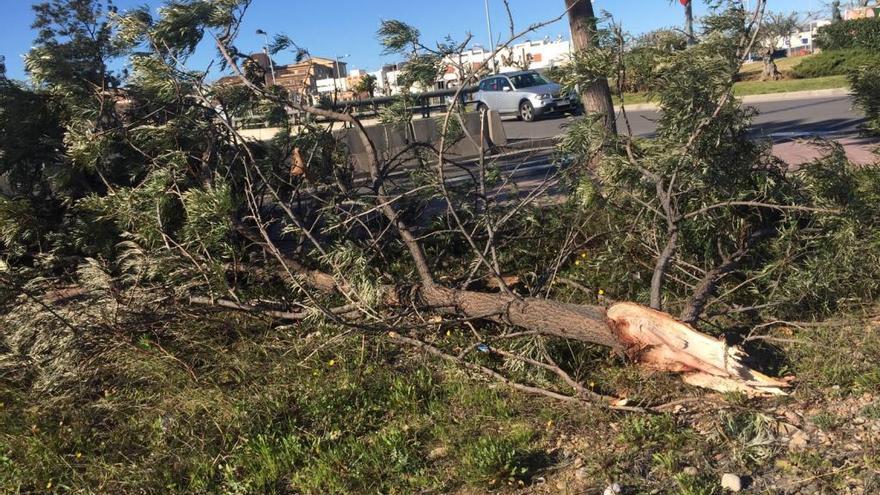 El viento alcanza rachas de hasta 126 km/h en Xert