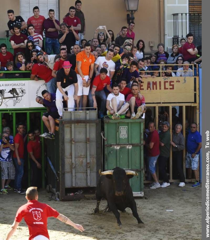 Galería de fotos -- Dos heridos por asta de toro en la penúltima jornada taurina