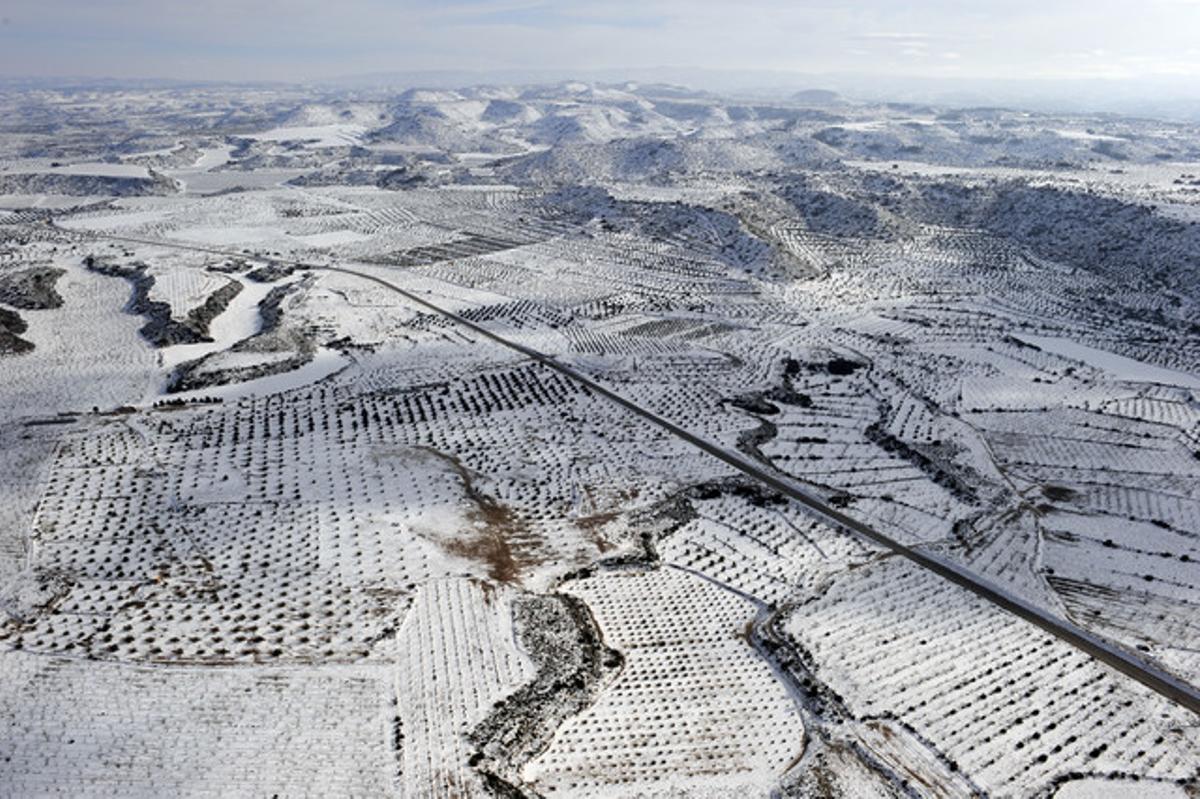 Les Garrigues, Lleida.