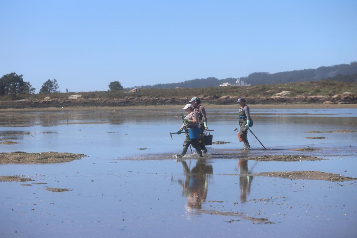 Mariscadoras de O Grove en la zona de O Facho.