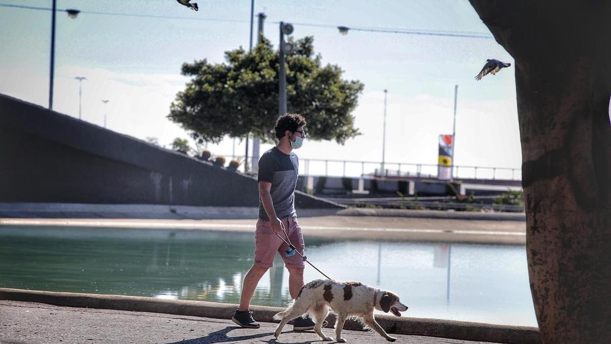 Un transeúnte pasea su perro por Santa Cruz.