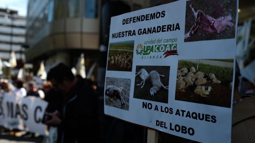 Imagen de archivo de una manifestación de la Alianza UPA-COAG en Zamora con motivo del lobo. | E. Fraile