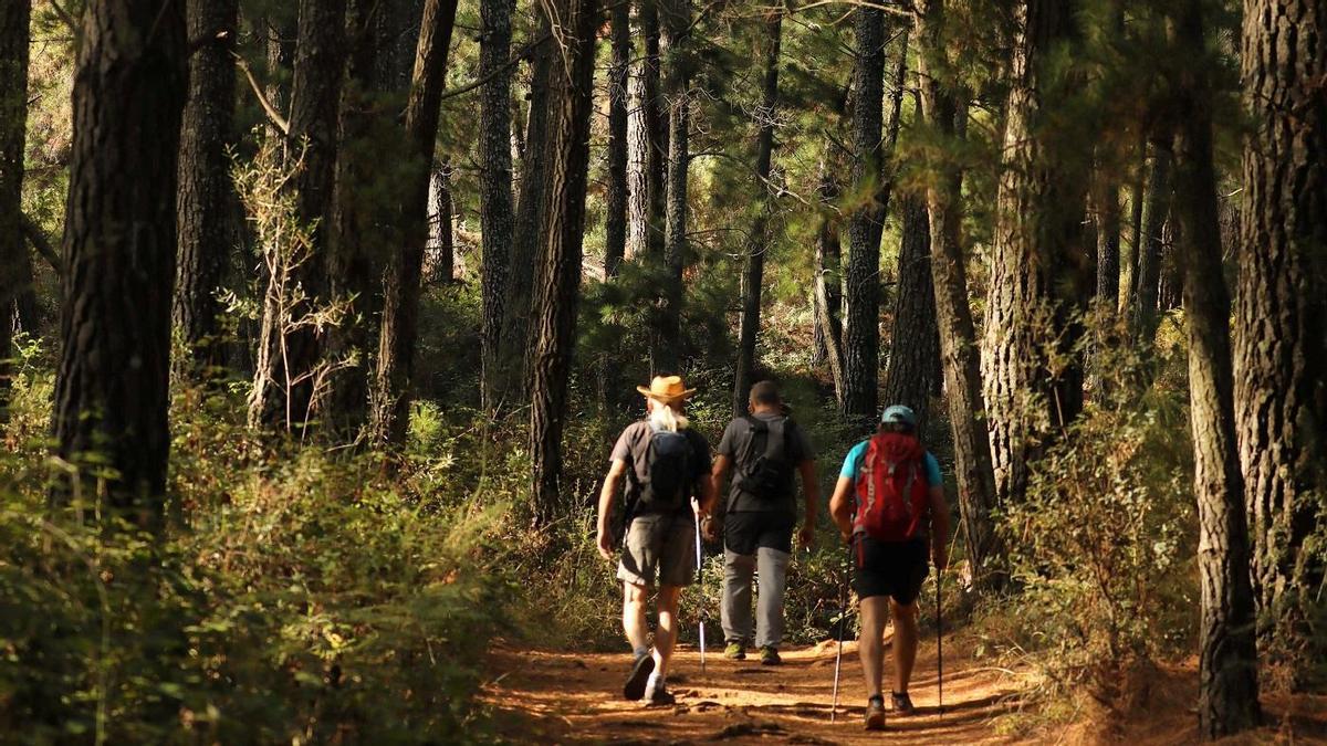 Varios excursionistas hacen una ruta por la Gran Senda en el entorno de Juanar.