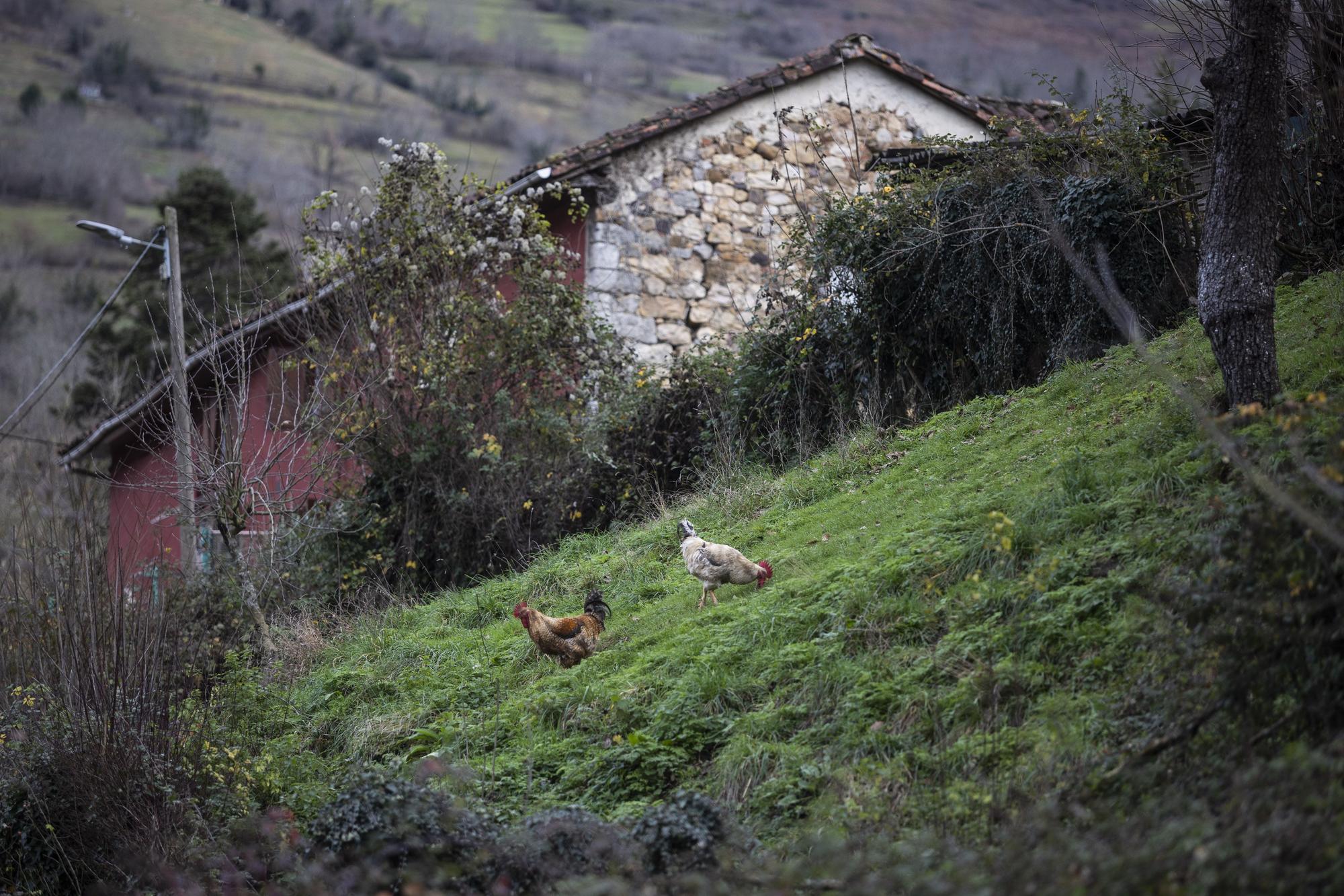 Asturianos en Teverga, un recorrido por el municipio