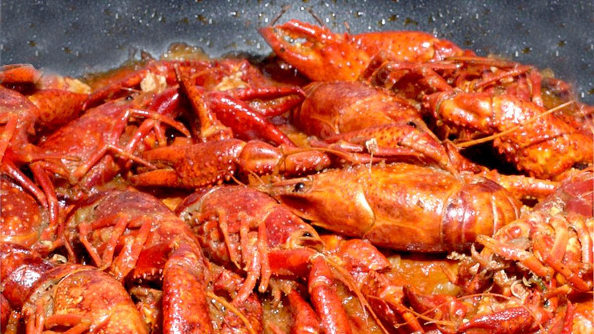 Cangrejos rojos de río.