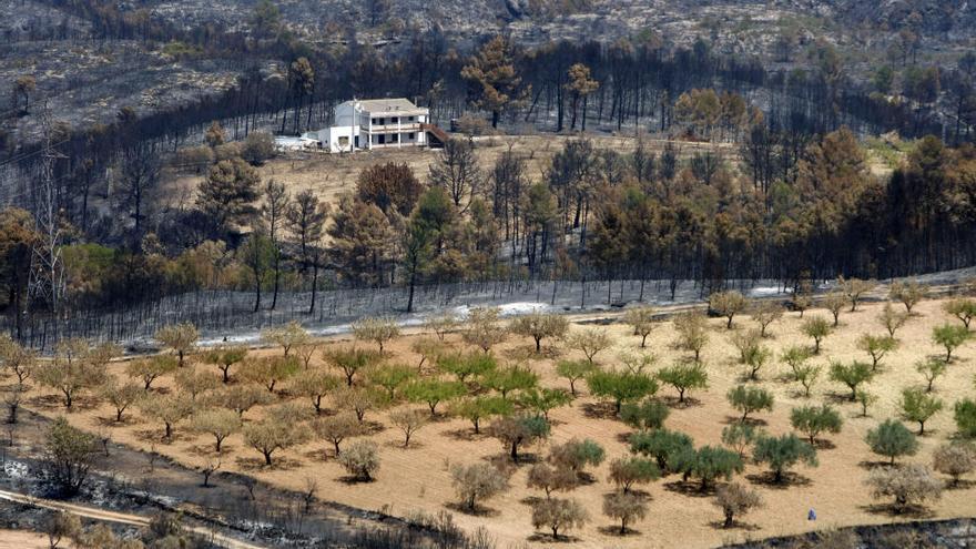 Rastrean si Rus y Benavent cobraron mordidas tras el incendio de Cortes de Pallás