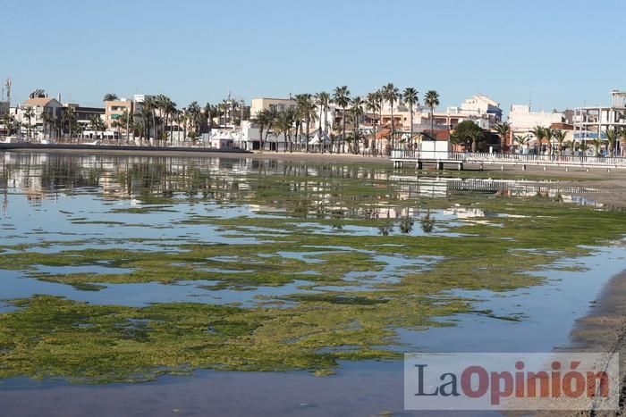 Un 'SOS' gigante para el Mar Menor formado por escolares en Villananitos