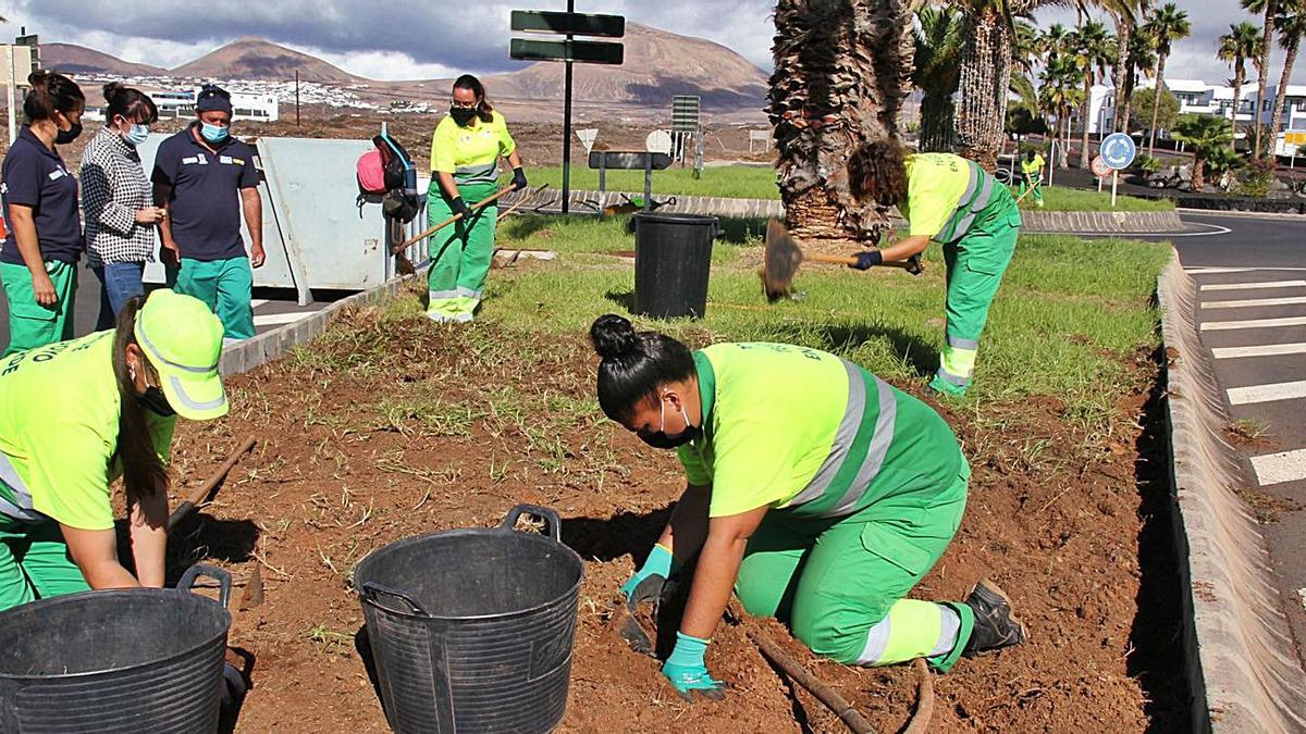 Trabajos de los alumnos de los programas de empleo en las zonas verdes de Tías.