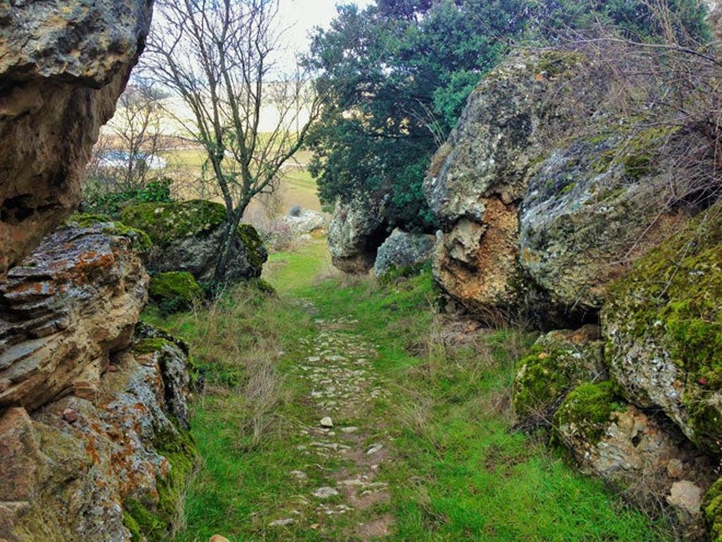 Aprende a ser pastor en Soria