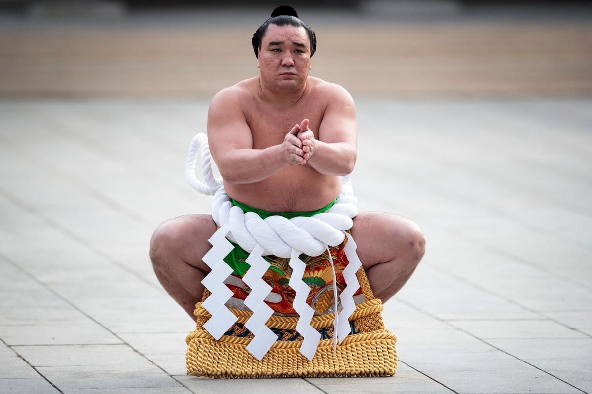 sumo