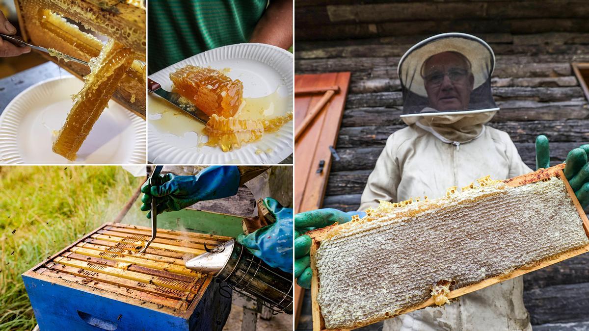 A la derecha, José Manuel Estrada con un panal; a la izquierda y sobre estas líneas, detalles de cómo los responsables del apiario cuidan los panales y extraen la miel generada por los insectos.