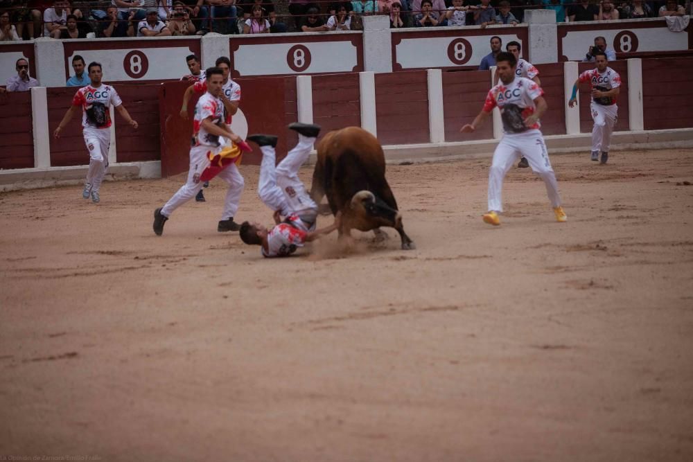 Concurso de cortes San Pedro