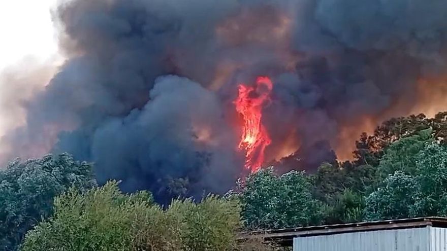 Investigada una persona por provocar tres incendios forestales en Palma del Río