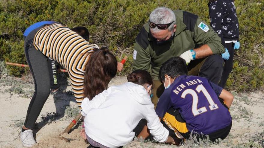 Más de 6.000 alumnos participan en actividades forestales | CAIB