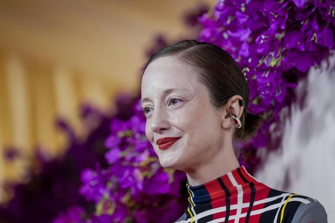 Andrea Riseborough no dejó a nadie indiferente en los Oscars 2024.