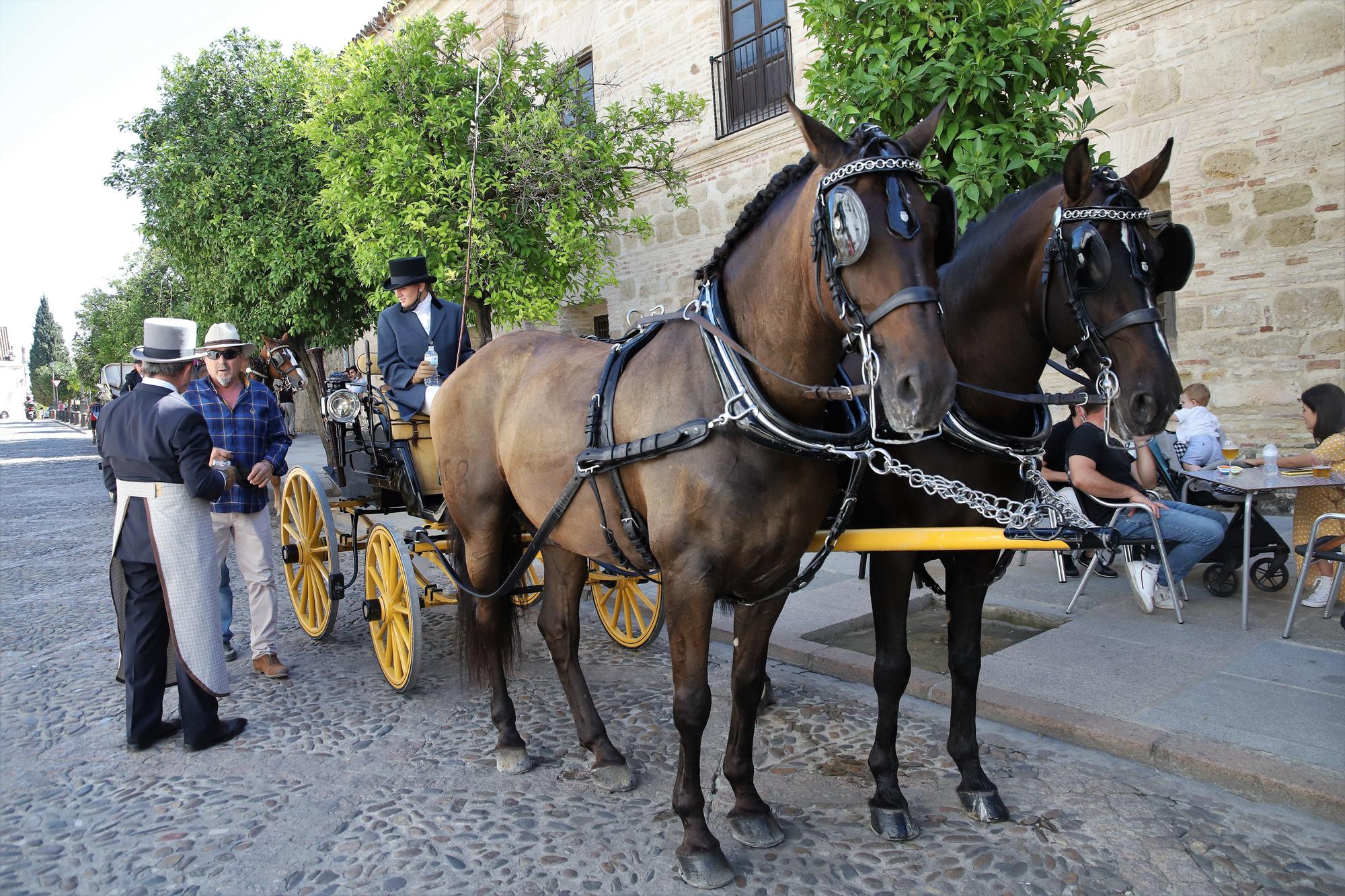 El atalaje de tradición regresa a España