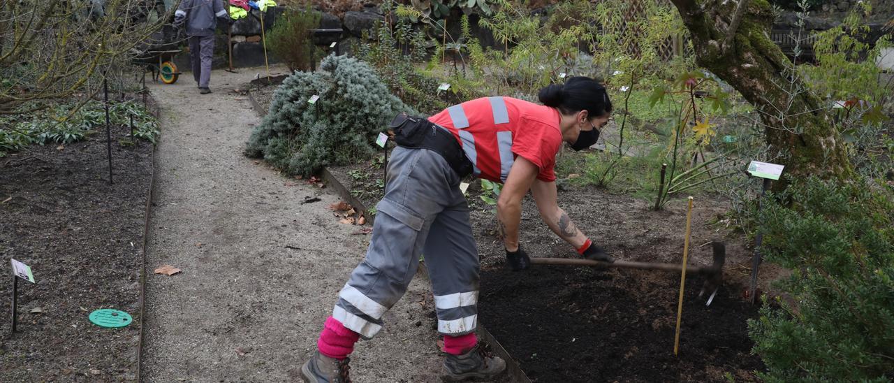 Trabajos en el Jardín Botánico Atlántico de Gijón.