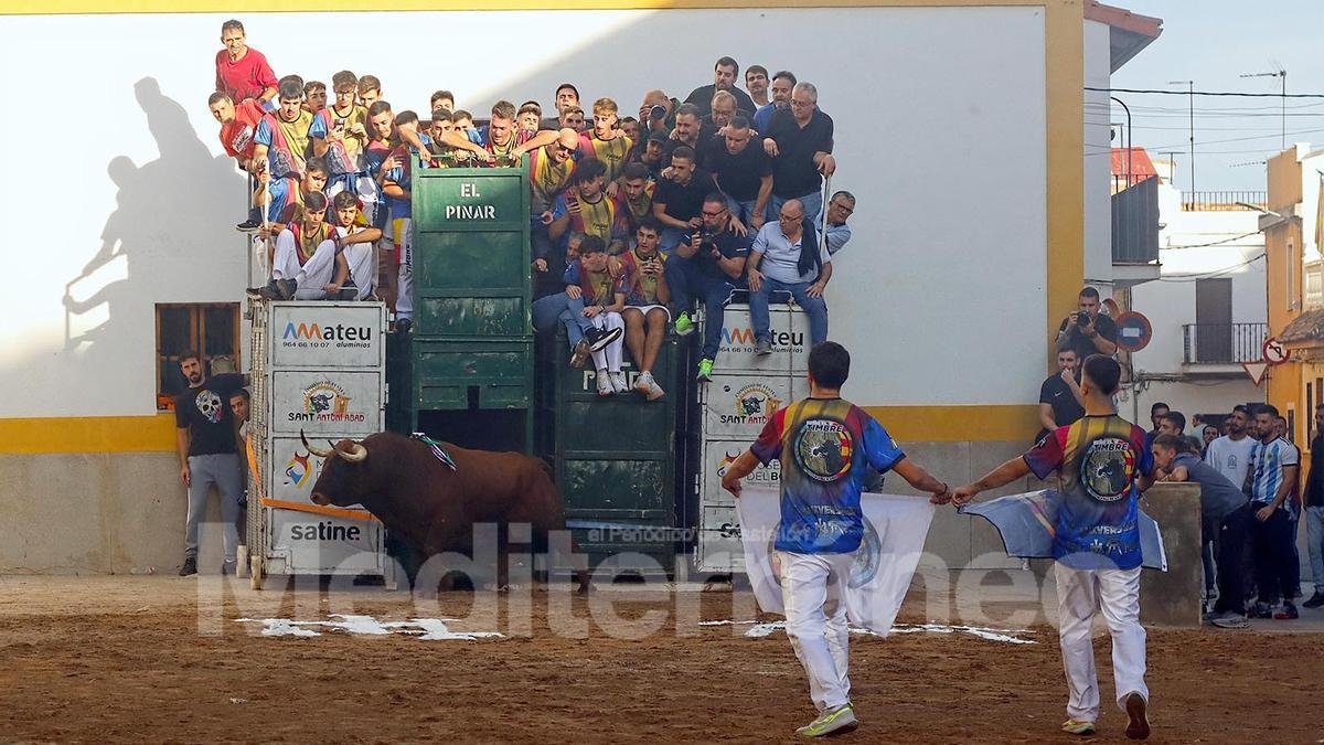 Bous a La Vall d'Uixó 2025