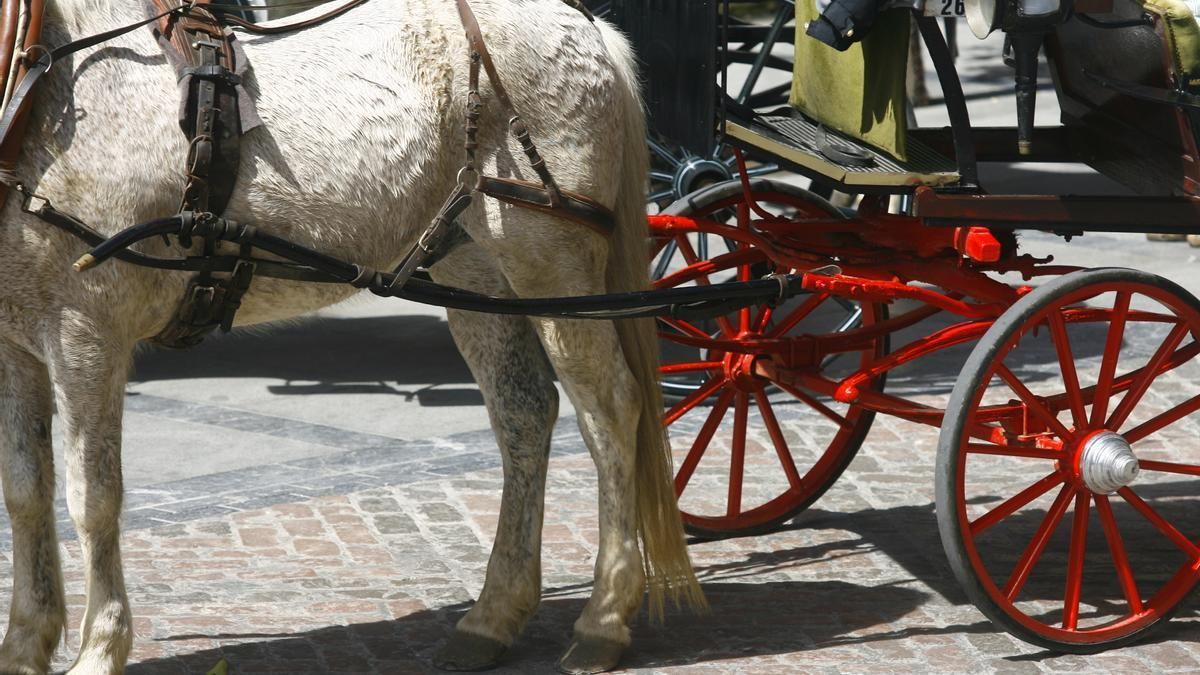 Un coche de caballos.