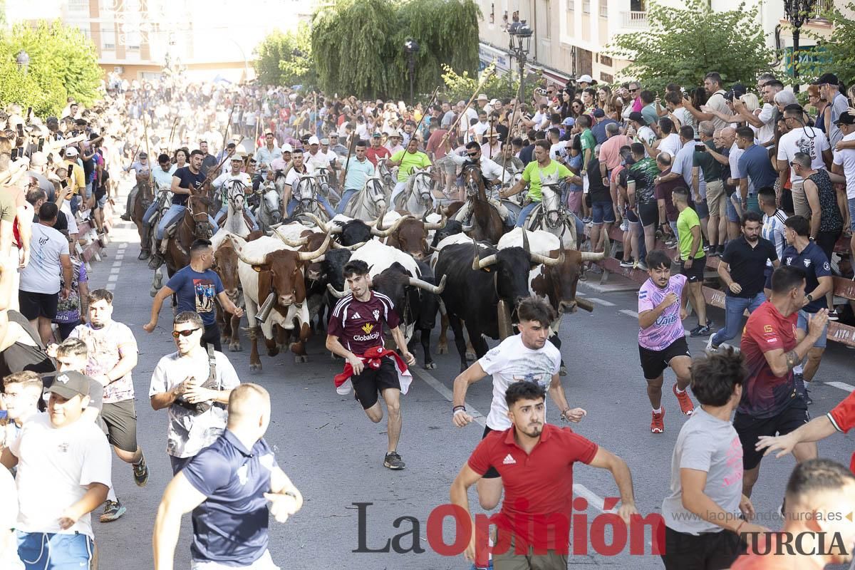 El segundo encierro de las Fiestas de Moratalla se salda con un herido