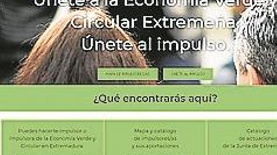 ¿Cómo convertirse en impulsor de la economía verde?