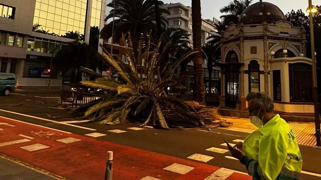 Daños por fuertes vientos en Gran Canaria