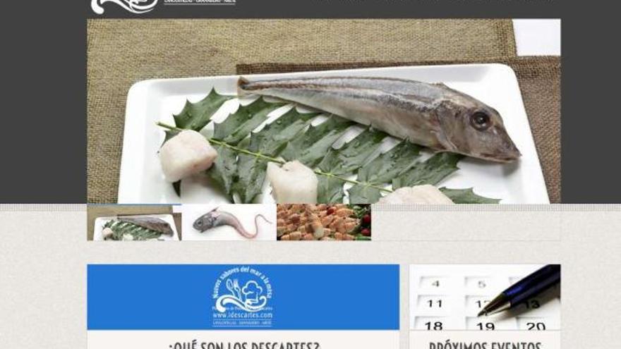 Captura de la web promocional de los descartes de la flota gallega. / la opinión