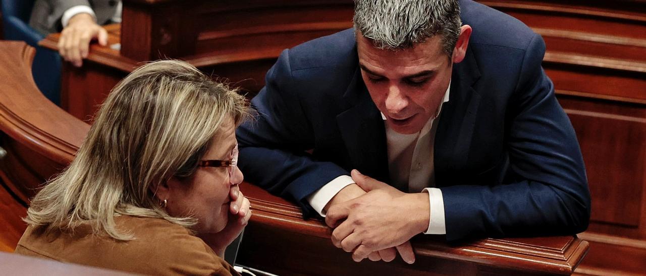 La consejera de Agricultura, Alicia Vanoostende, y el diputado nacionalista y consejero de Agricultura en la anterior legislatura, Narvay Quintero, en el Parlamento.