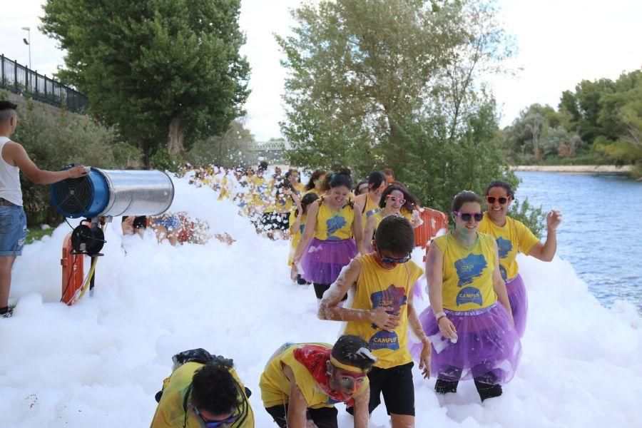 Powerful Color Race Zamora 2017