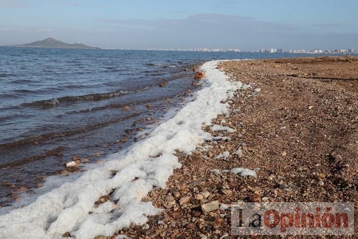 SOS Mar Menor retira dos toneladas de basura