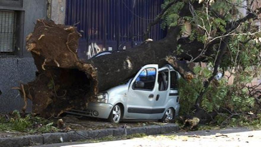 Un temporal de lluvia deja catorce muertos en Argentina