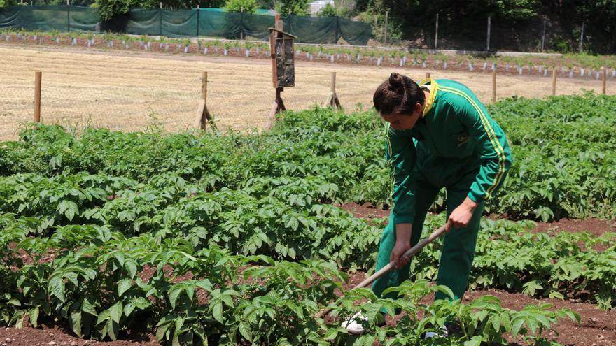 Iniciativa pionera per garantir el relleu agrari a les explotacions de la Garrotxa