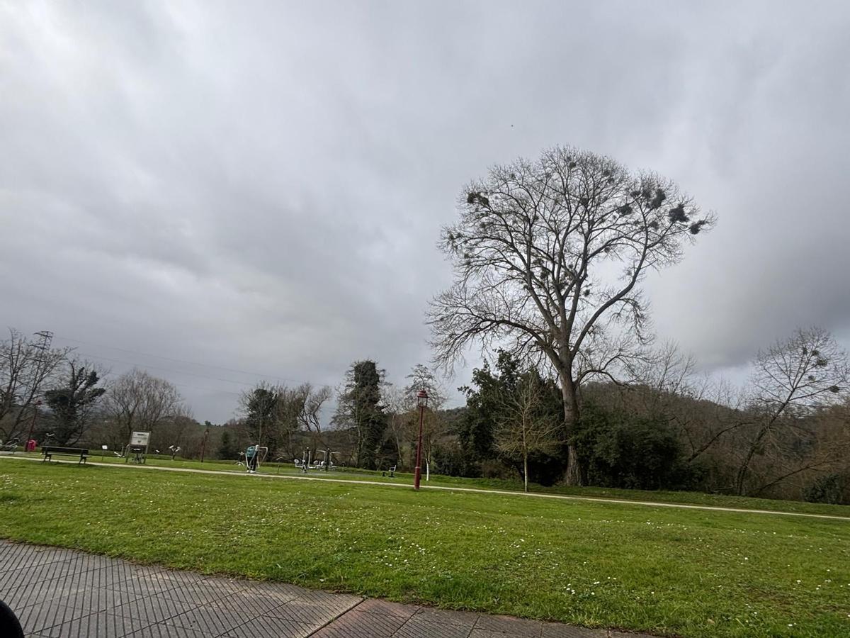 Nueva carpeta/e7c2c1cc-4d1d-43a4-9d00-f00b51868439