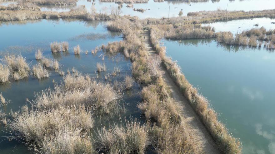 Vídeo: La Marjal i els Estanys d'Almenara a vista de pájaro