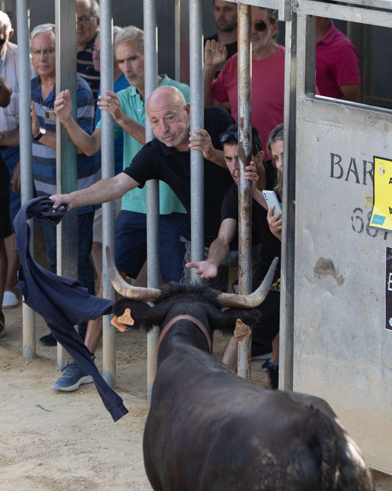 Jueves de vaquillas en las fiestas de Sagunt