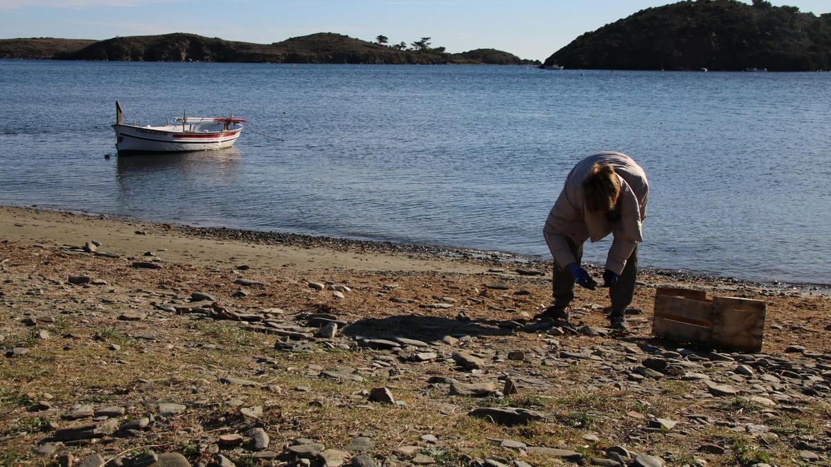 Reivindiquen les "passanelles" de Cadaqués amb el retorn d'una tona d'aquestes pedres a la platja de Port Lligat