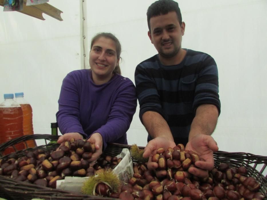 Certamen de la castaña en Arriondas