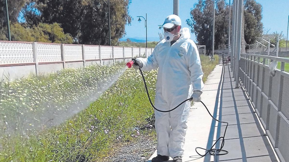 Fumigación en Málaga.