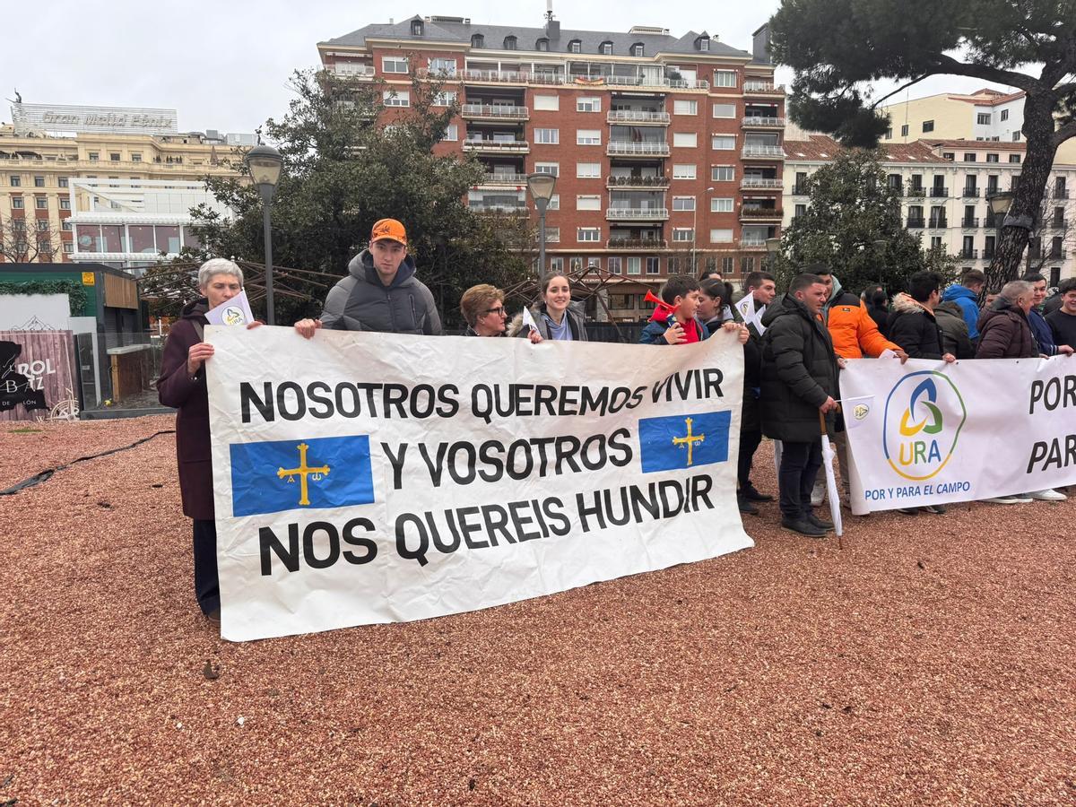 WhatsApp Image 2026 02 11 at 12.01.24 (4)