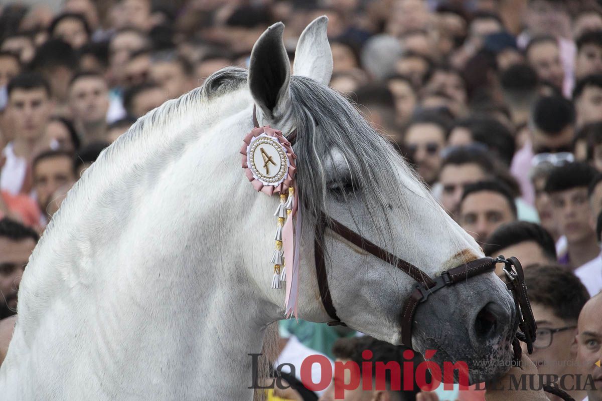 Fiestas de Caravaca | Entrega de premios del concurso morfológico