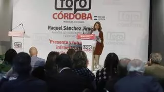 El Gobierno afirma que "haremos lo posible" por atraer vuelos comerciales a Córdoba