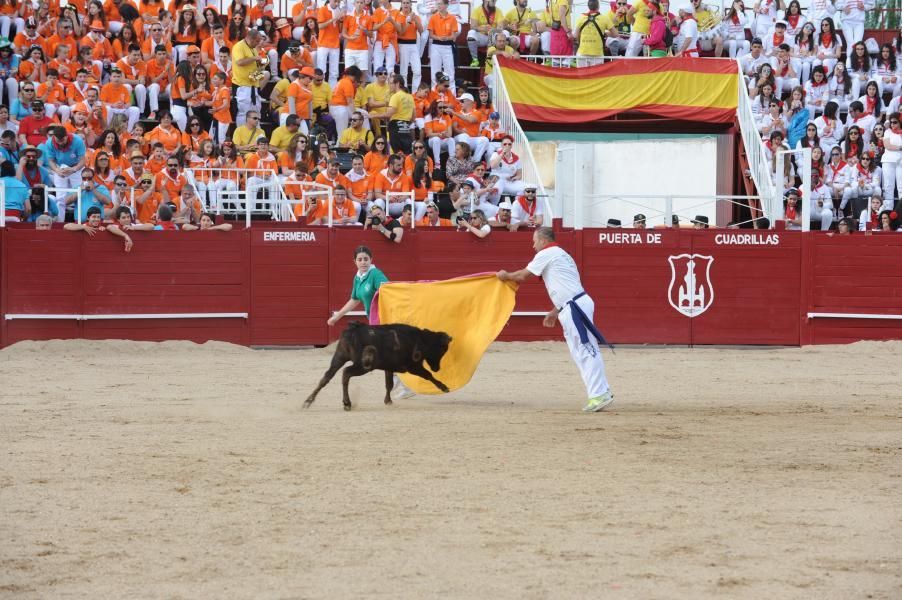 Becerrada, encierros y vaca de la sangría