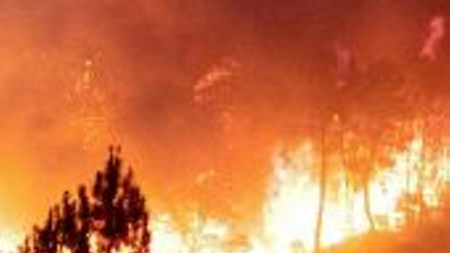 Los ingenieros forestales creen demagógica la tasa por incendios