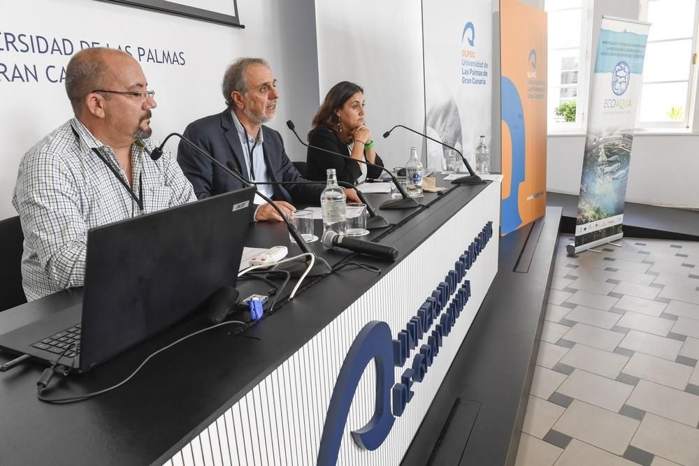 Reunión final del proyecto europeo MarSP para informar sobre la Ordenación Espacial Marina en Canarias