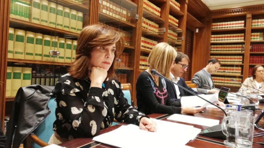 Teresa Cruz, ayer en la Comisión de Sanidad del Parlamento canario.