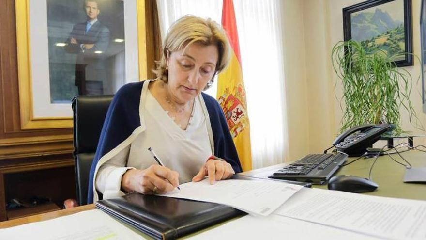 Delia Losa, ante el reto de hacer un equipo con “todas las sensibilidades” de la AMSO